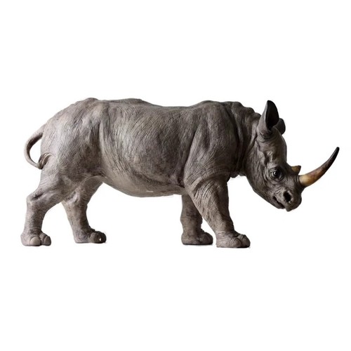 Rhino rhinoceros wildlife - rhino,