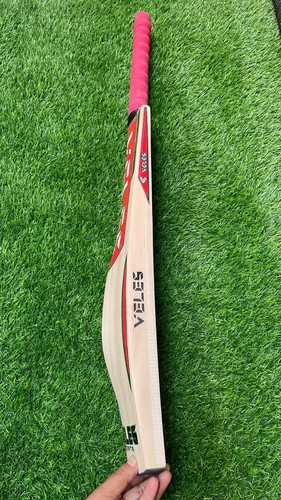 English willow cricket bat - english,