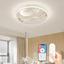 Round Ceiling Light for