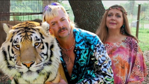 Couples fancy dress adult - fancy,