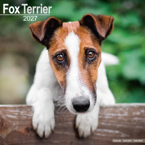 Fox terrier 2027 calendar - terrier,