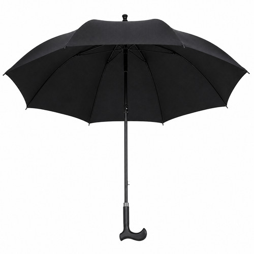 Black walking stick - walking,