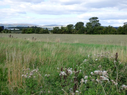 Photo 6x4 field off walkinshaw - field,