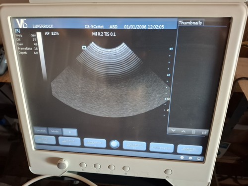 Vis vet ultrasound machine - ultrasound,