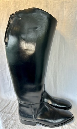 Regent showing riding - regent,