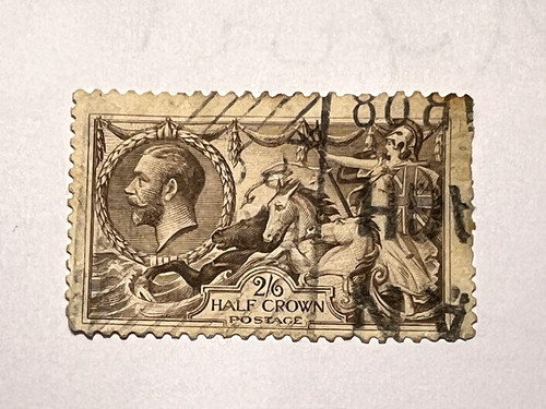 George used seahorse - seahorse,