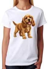 Cocker Spaniel Puppy