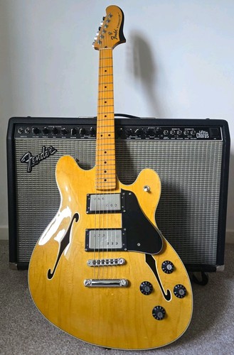 Rare and discontinued fender - rare,