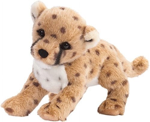 Douglas chillin cheetah - cheetah, cub