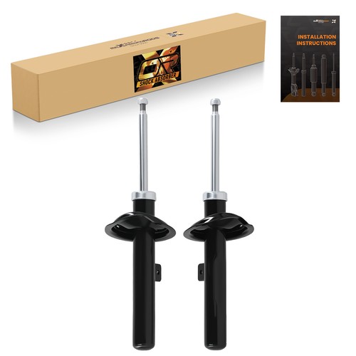 Front shock absorber - front, for