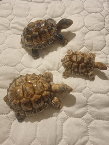 Wade whimsie tortoise set 3 - set, of