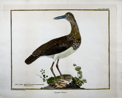 1760 nic martinet - nic.,