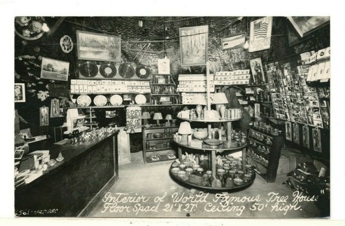 C1950 real photo interior - real,