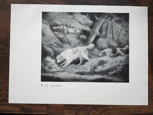 Setters antique hunting - "setters",
