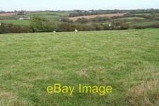 Photo 6x4 Shebbear: near Caute