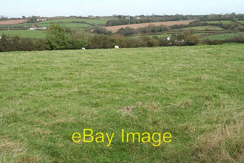 Photo 6x4 shebbear - photo, shebbear: