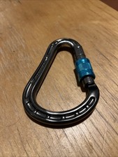 Mammut Screw Gate Carabiner 