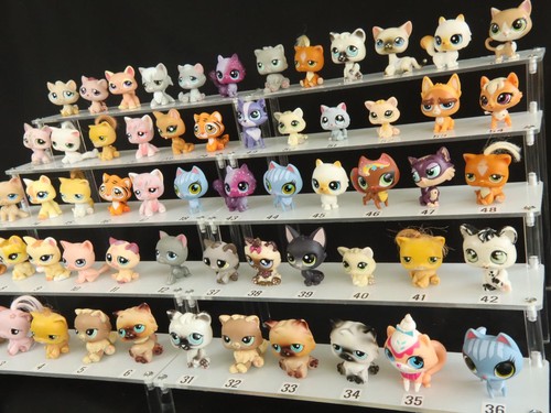 Many lps cats - cats,, littlest