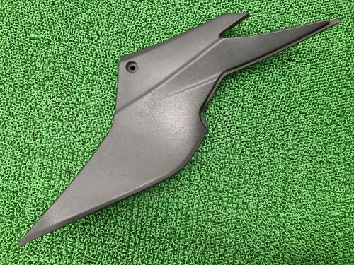 Genuine kawasaki ninja250r - genuine,