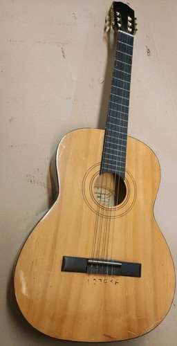Burswood acoustic guitar - acoustic,