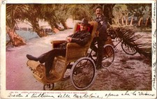 1905 Joseph Jefferson Palm