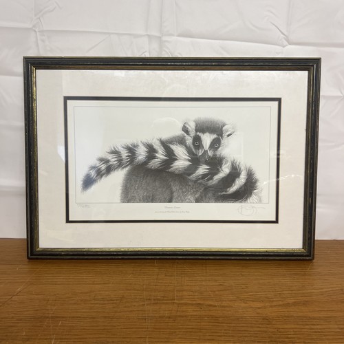 Gary hodges demure lemur - gary, "demure