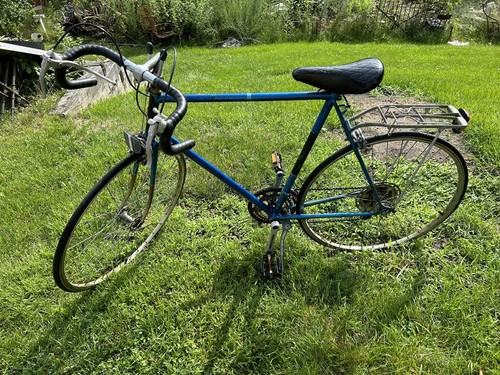 Vintage raleigh super record - super,