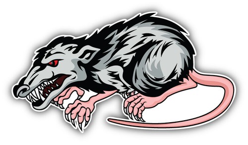 Dangerous rat car bumper - car,