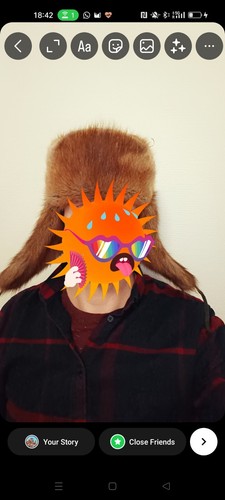 Real fur trapper hat - fur,
