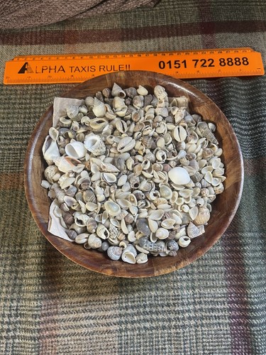 5kg 3lb of small - 1.5kg,