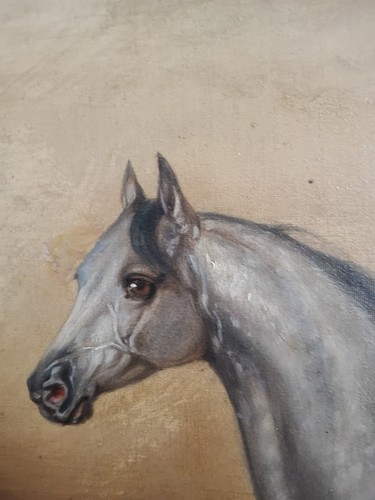 Stunning galopping horse oil - stunning,