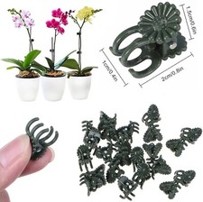 100PCS 6-Claw Dark Green Plant