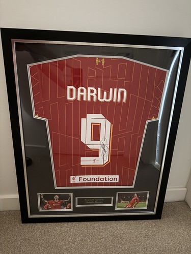Darwin nunez liverpool signed - darwin,