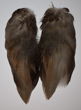 Complete set of Bronze Mallard