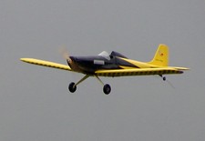 Giant RC Astro Hog Aerobatic