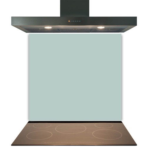 Duck egg glass splashback - duck,