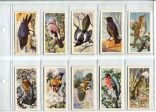 Bird Portraits 1957 Brooke Bond Tea Cards - Full Set of 50 Cards