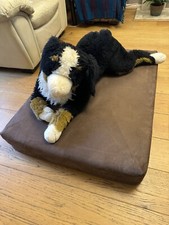 Luxury Orthopaedic Dog Bed, Medium Sized (100x75x12cm) for Large Dog Breed