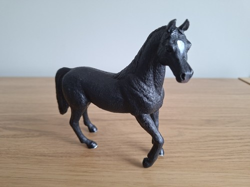 Black mojo arabian stallion - black,