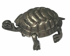 Turtle With Movable Head
