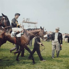 Racehorse Mill Reef Trained By