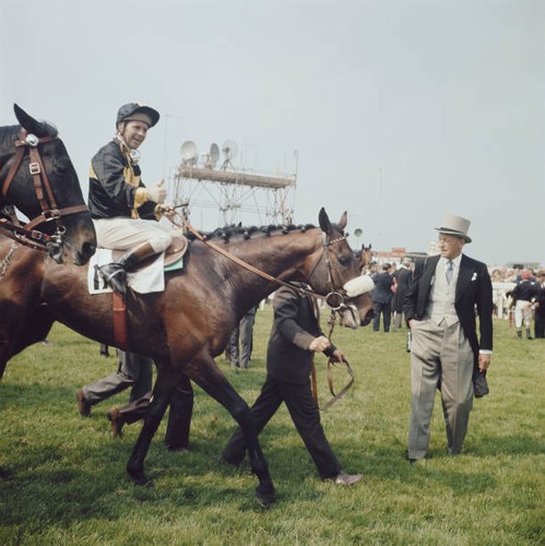 Racehorse mill reef trained - mill,