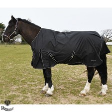 100g Lightweight Turnout Rug