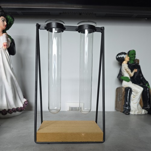 Lovely glass test tube vases - lovely,
