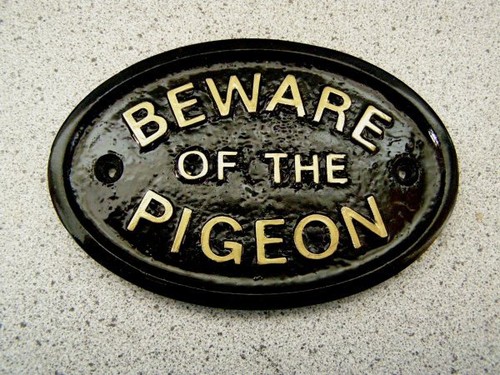 Pigeon sign door - -,