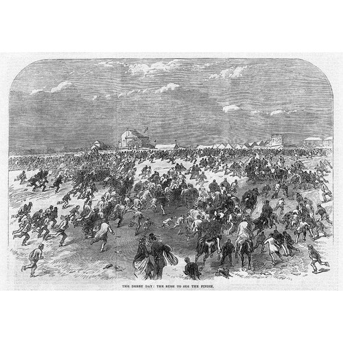 Horse racing the derby - horse,