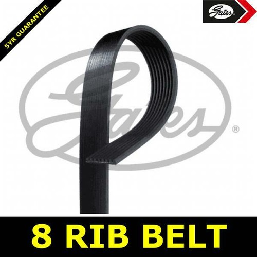 Supercharger belt ribbed for - ribbed,