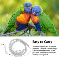 Bird leash leg - leash, ring
