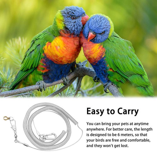 Bird leash leg ring - leash, w/