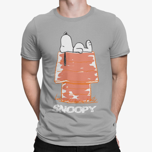 Peanuts snoopy logo house - peanuts,